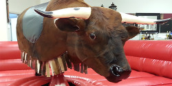 Mechanical Bull